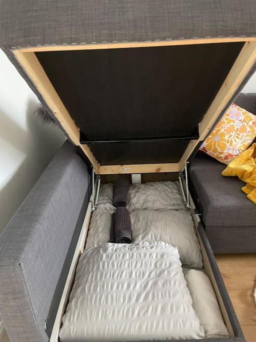 Loft Apartment In Joppa إدنبرة المظهر الخارجي الصورة